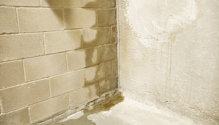 Water Damage Toronto – Protect Your Basement Against Water Damage